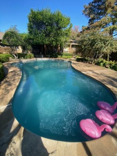 Tulsa-Pool-Maintenance-IMG 2772