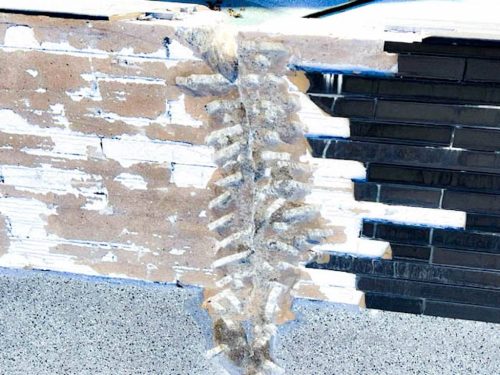 Tulsa-Pool-Maintenance-Pelican-Pools-Tulsa-023